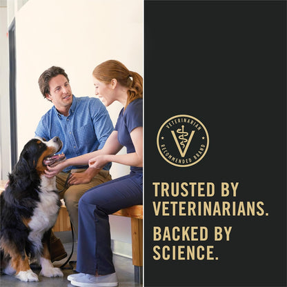 Purina_Pro_Plan_Sensitive_Skin_and_Stomach_Dog_Food_Dry,_Adult_Salmon_&_Rice_Formula,_Digestive_Health_-_16_lb._Bag