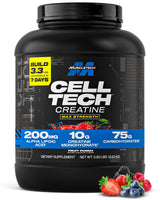 MuscleTech Creatine Monohydrate Powder - Cell-Tech Creatine Powder Post Workout Recovery Drink, Muscle Builder & Musclebuilding Creatine Supplement - Fruit Punch - Packaging May Vary