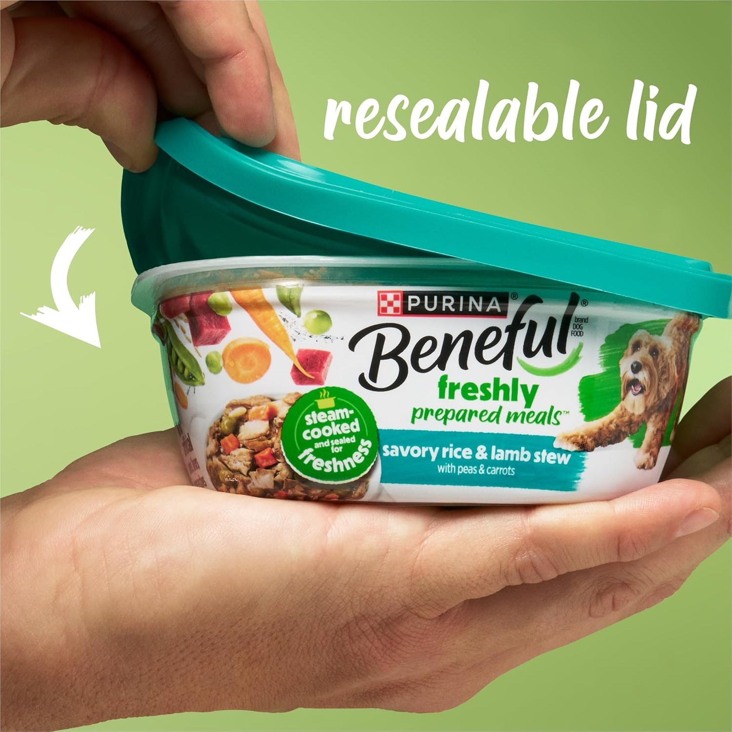Purina_Beneful_Gravy_Wet_Dog_Food_Variety_Pack,_Prepared_Meals_Stew_-_(12)_10_oz._Tubs
