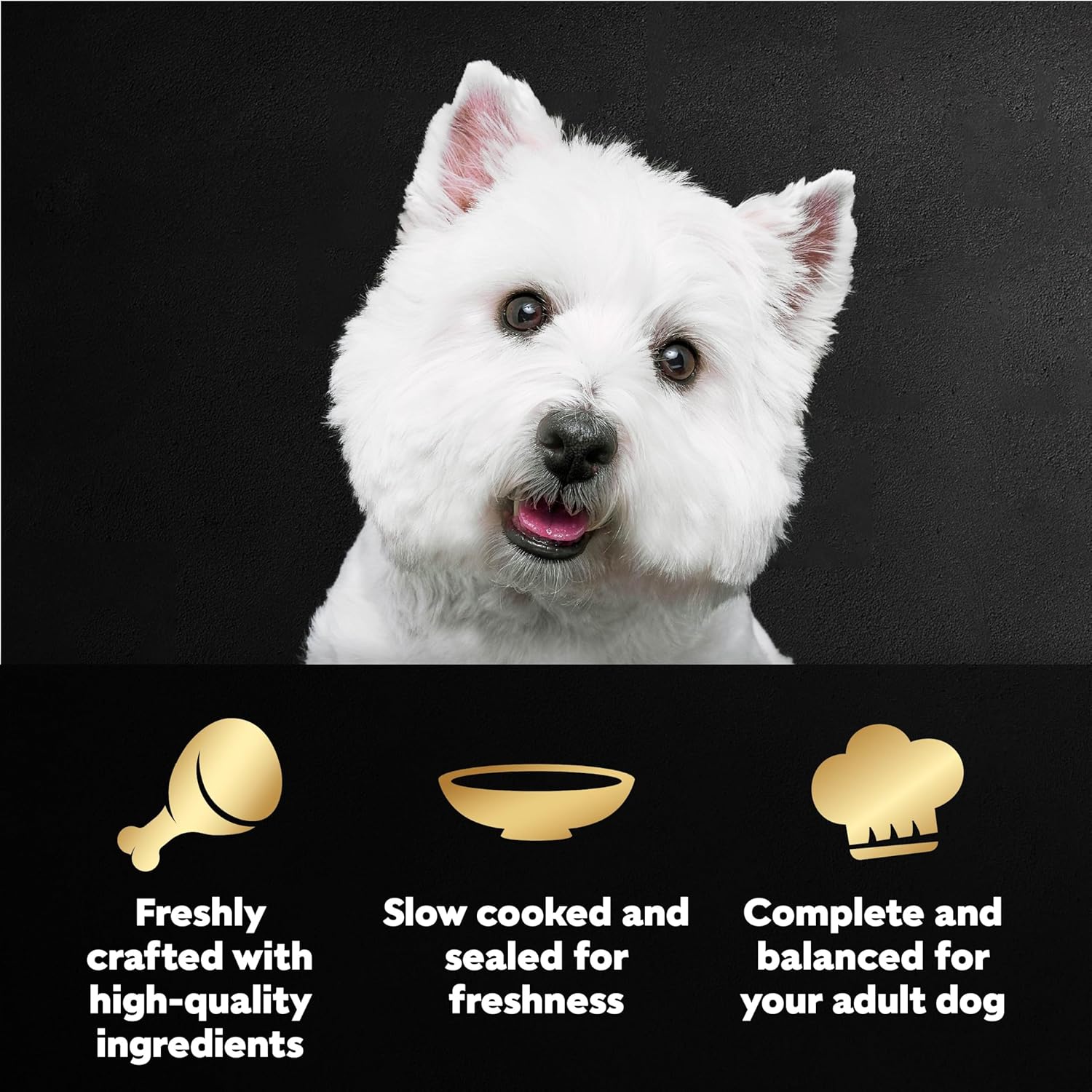 Cesar_Filets_in_Gravy_Wet_Dog_Food_Rotisserie_Chicken_Flavor,_Filet_Mignon_Flavor,_and_Wood-Grilled_Chicken_Variety_Pack,_Wet_Food_for_Dogs,_1.76_oz._Mini-Pouches,_40_Count