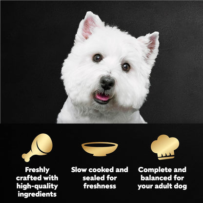 Cesar_Filets_in_Gravy_Wet_Dog_Food_Rotisserie_Chicken_Flavor,_Filet_Mignon_Flavor,_and_Wood-Grilled_Chicken_Variety_Pack,_Wet_Food_for_Dogs,_1.76_oz._Mini-Pouches,_40_Count