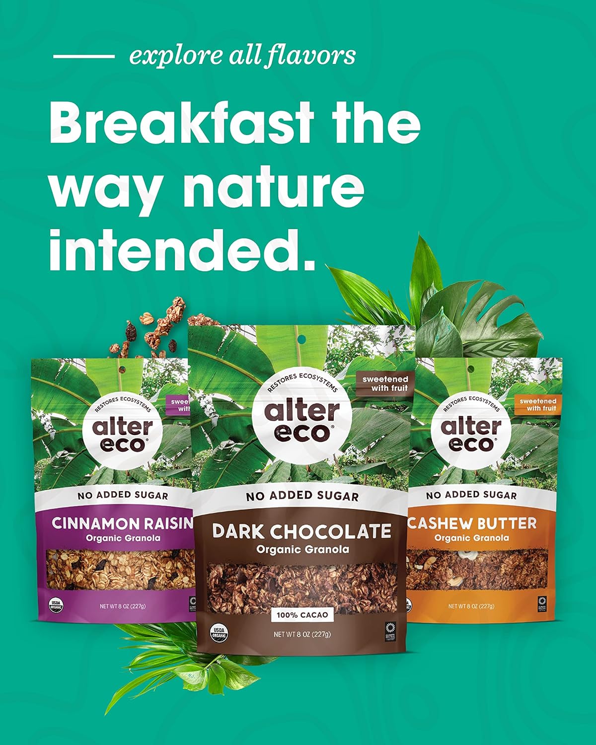 Alter_Eco_Cashew_Butter_Granola,_Healthy,_Organic_Breakfast_&_Snack,_Naturally_Sweetened_with_Fruit,_Vegan,_No_Artificial_Sugars_or_Additives,_Regeneratively-Farmed_Oats_(Cashew_Butter_-_1_Pack)