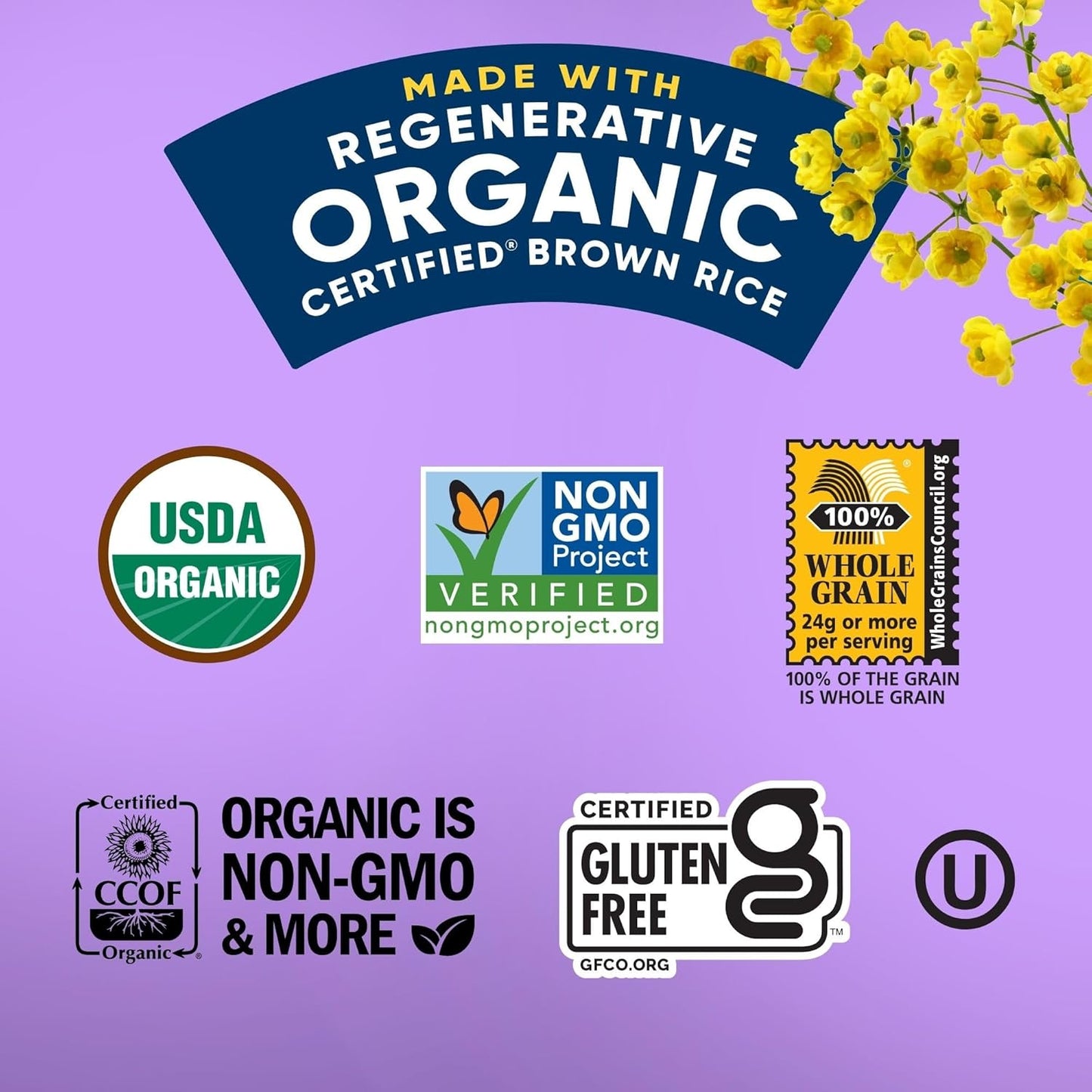 Lundberg_Minis_Apple_Pie_Organic_Rice_Cakes_5_Oz