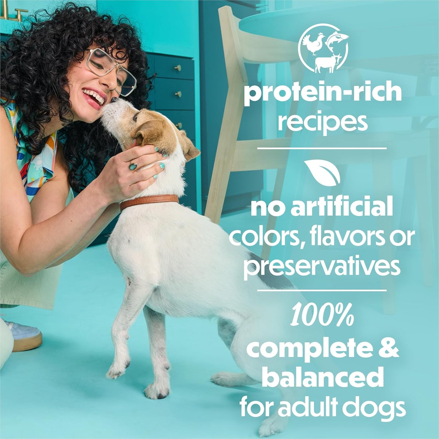 Beneful_Purina_Small_Breed_Wet_Dog_Food_Variety_Pack,_IncrediBites_With_Real_Beef,_Chicken_and_Salmon_-_(Pack_of_30)_3_Oz._Cans