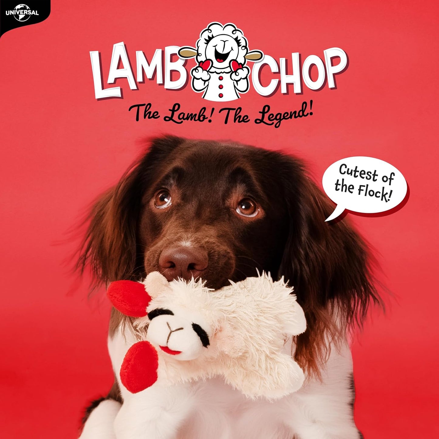 Multipet_Lamb_Chop_Dog_Plush_Toy_-_Squeaky_Toy_for_All_Dogs_-_Extra_Soft_Plush_-_Stuffed_Animal_Dog_Toy_for_Cuddling_&_Playing_-_Cute_Pet_Toy_(6",_Cream)