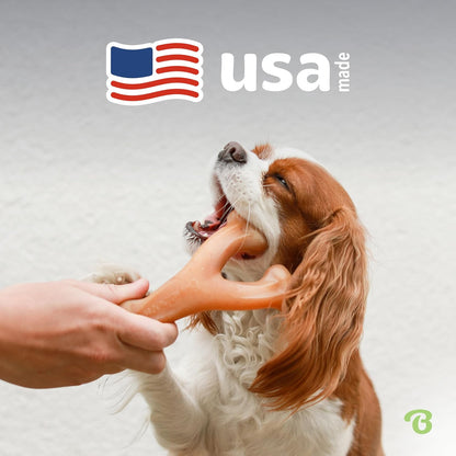 Benebone_Wishbone_Durable_Dog_Chew_Toy_for_Aggressive_Chewers,_Real_Bacon,_Made_in_USA,_Medium