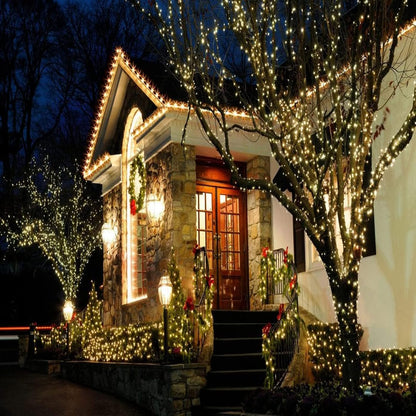 25ft_50_Counts_Warm_White_LED_Christmas_Lights_-_Commercial_Grade_Outdoor_Waterproof,_Green_Wire,_Xmas_Tree_Lights,_IP:65,_UL