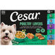 Poultry Lovers - 36 Count (Pack of 1)