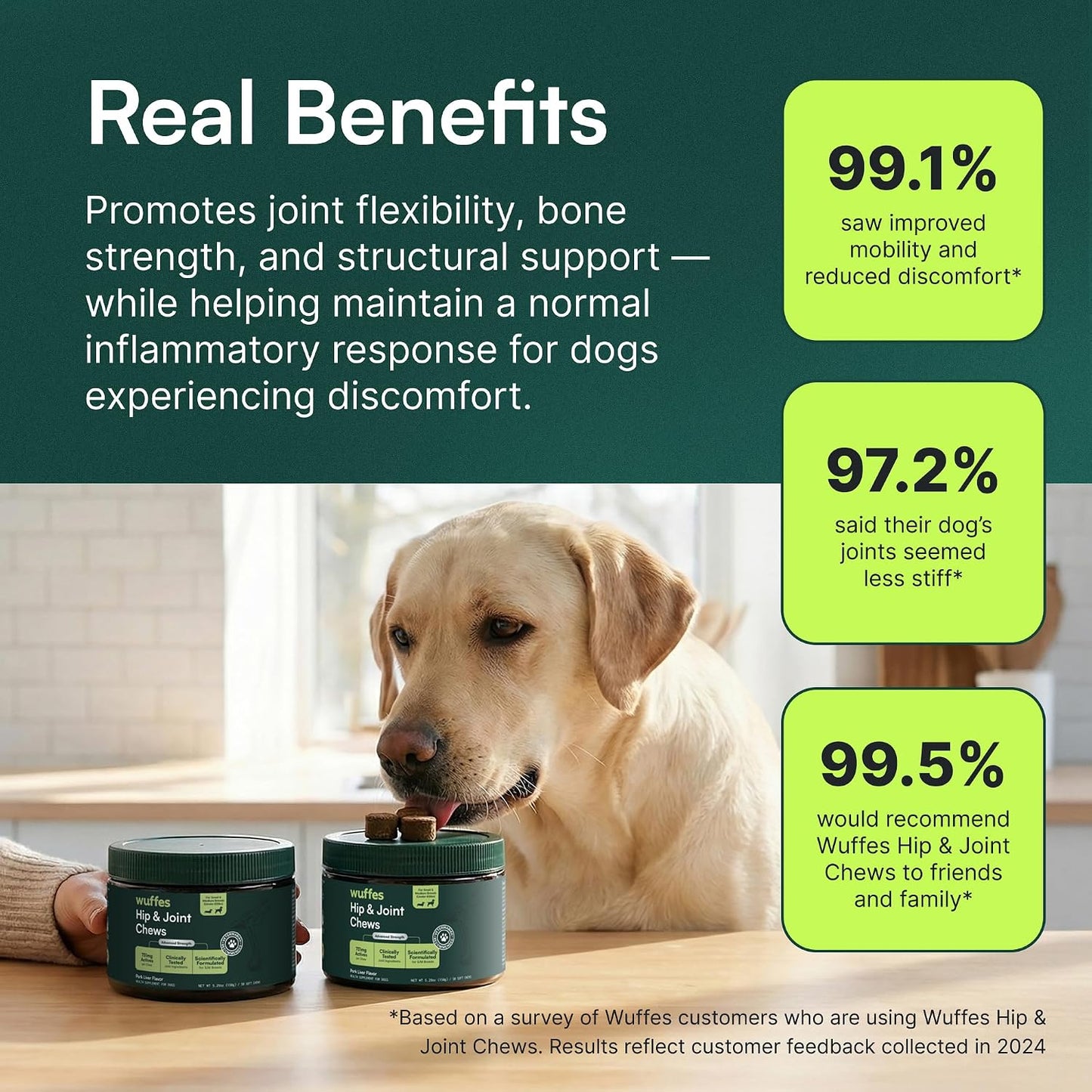 Advanced_Dog_Hip_and_Joint_Supplement_with_Glucosamine,_Chondroitin,_Omega_3,_MSM,_and_Green_Lipped_Mussel,_30_Pork_Flavored_Chews_for_Large_Dog_Breeds