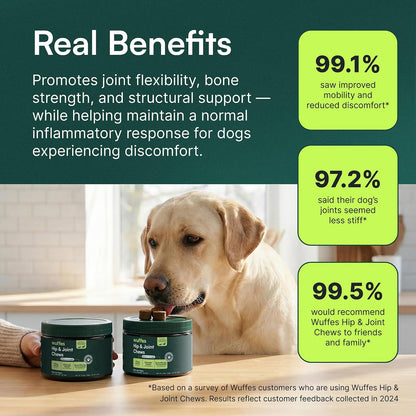 Advanced_Dog_Hip_and_Joint_Supplement_with_Glucosamine,_Chondroitin,_Omega_3,_MSM,_and_Green_Lipped_Mussel,_30_Pork_Flavored_Chews_for_Large_Dog_Breeds