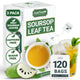 Soursop Leaf Tea - 120 Tea Bags (Pack of 3)