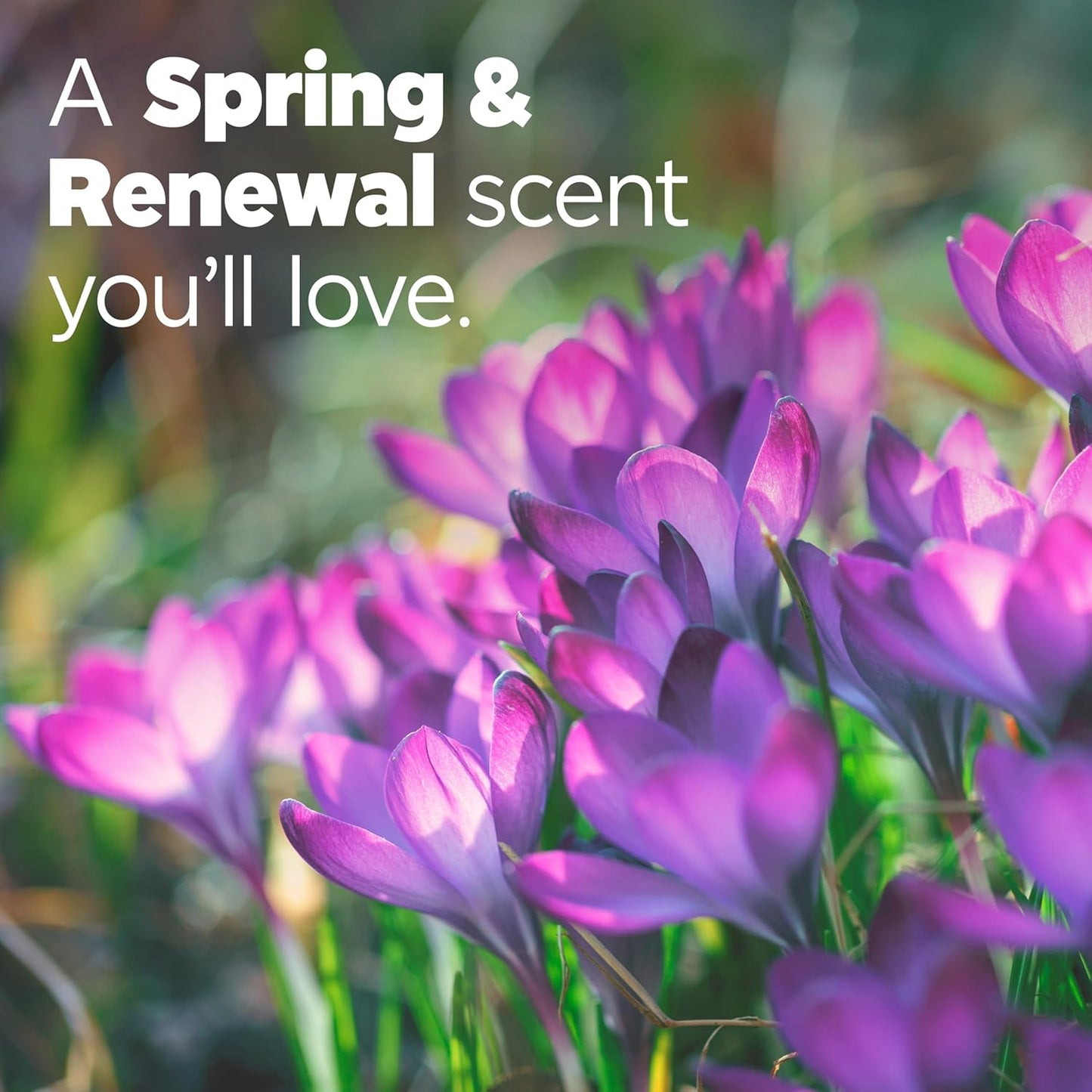 Tide_Ultra_Febreze_Liquid_Laundry_Detergent,_Spring_and_Renewal_scent,_92_fl_oz,_65_Loads,_Laundry_Detergent_Liquid_with_All-Day_Freshness