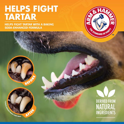 Arm_&_Hammer_Clinical_Care_Dental_Rinse_for_Adult_Dogs,_Odorless_Flavorless_Water_Additive_for_Daily_Plaque,_Tartar,_and_Bad_Breath_Control,_Baking_Soda_Enhanced_Formula,_16_Fl_Oz