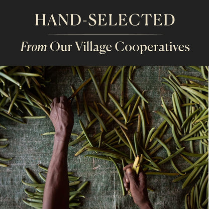 10_Organic_Madagascar_Whole_Vanilla_Beans,_Grade_A_Pods,_Premium_Vanilla_Beans_for_Making_Extract_&_Baking_-_Cook’s