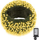 Warm White - 800 LED