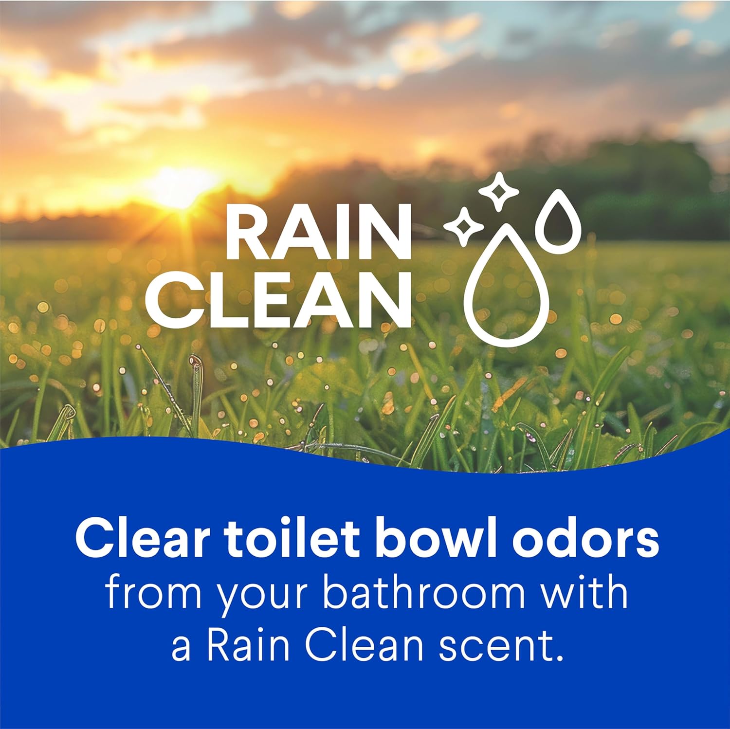 Clorox_Toilet_Bowl_Cleaner_Bleach,_Rain_Clean,_24_Fluid_Ounces,_Pack_of_2_(Package_May_Vary)