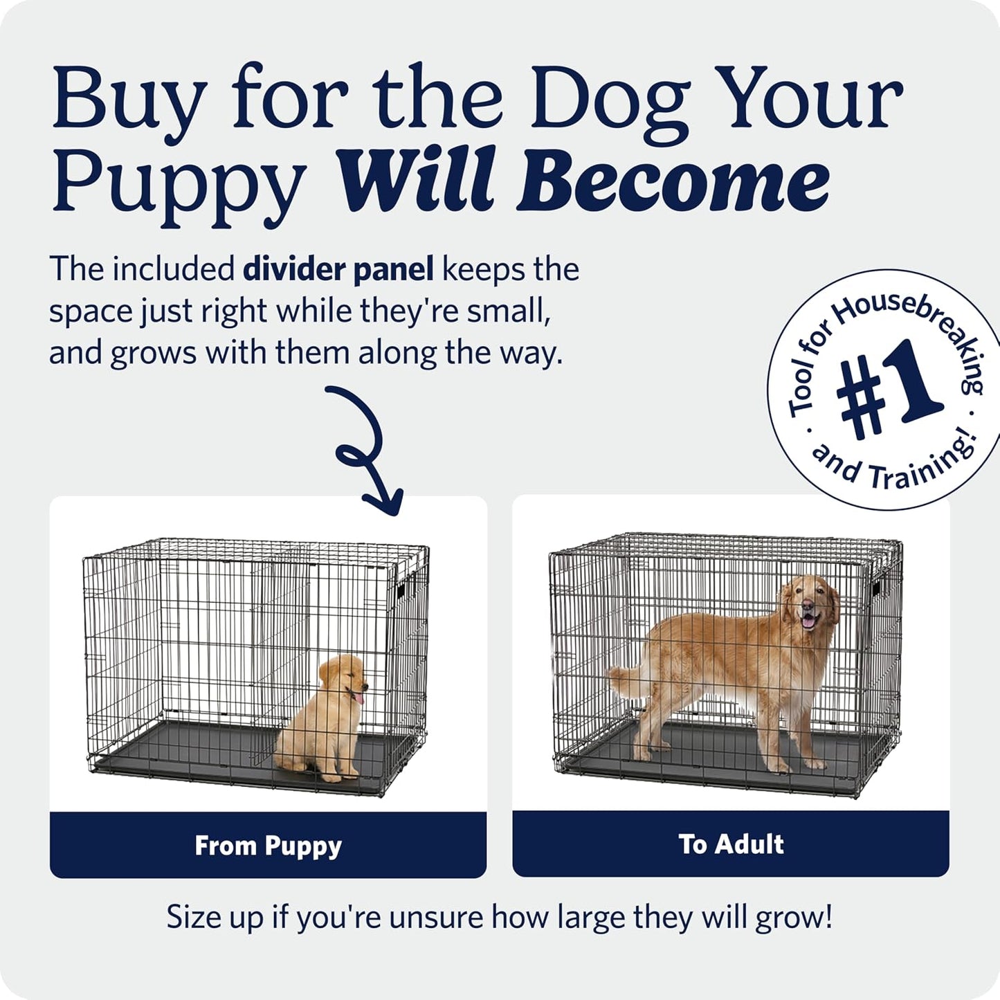 MidWest_Homes_for_Pets_30-Inch_iCrate_for_Medium_Breeds,_21-40_lbs,_Single_Door_Folding_Dog_Crate_with_Divider_Panel,_Leak-Proof_Tray_&_Secure_Latch,_Portable,_Durable_&_Easy_to_Assemble