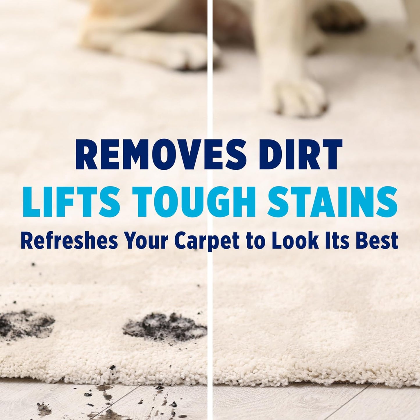 OxiClean_Large_Carpet_Cleaner_Liquid_Solution_for_Steam_Cleaning_Machines,_64_fl_oz