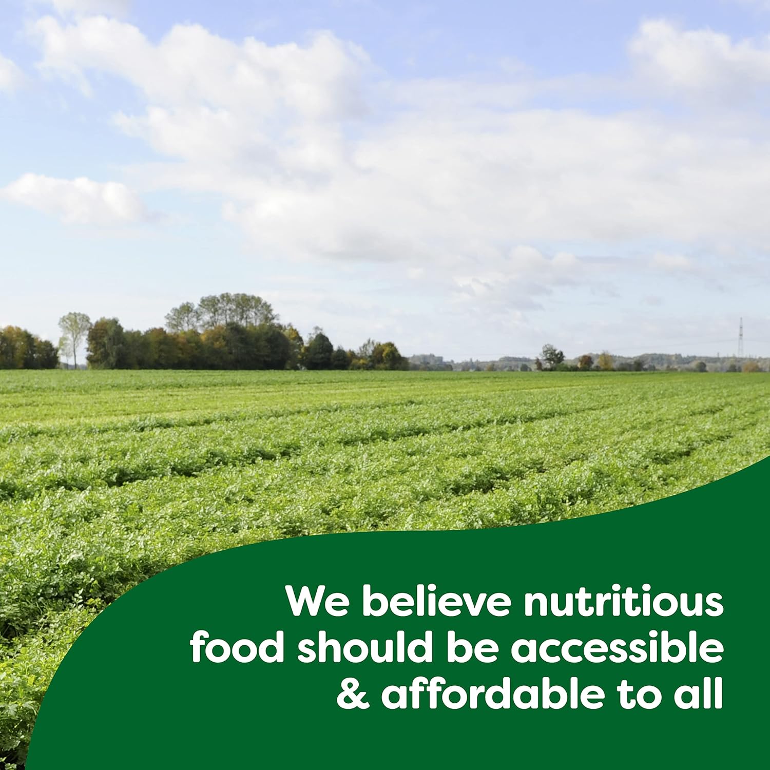 Knorr_Rice_Sides_8_Count_Chicken_Flavor_Fried_Rice_For_a_Tasty_Rice_Side_Dish_No_Artificial_Flavors_5.7_oz