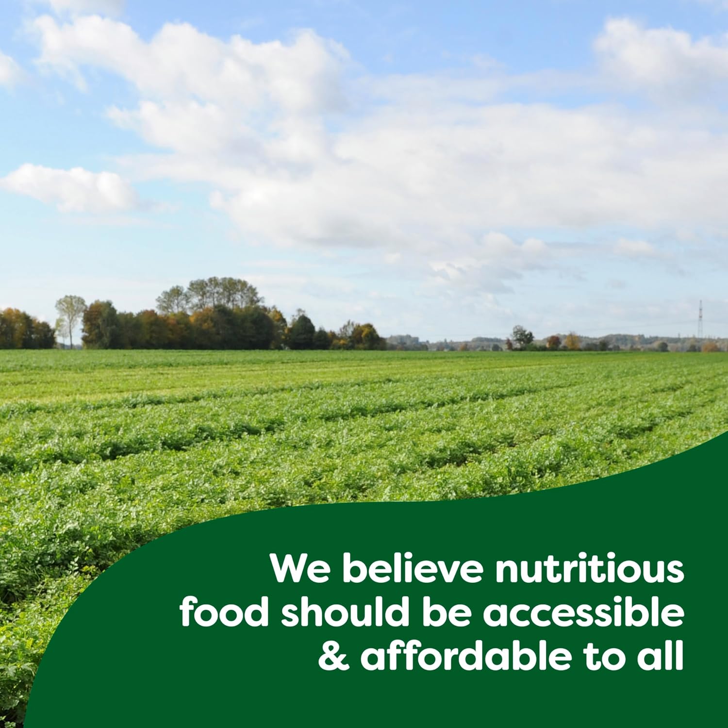 Knorr_Sauce_Mix_Parma_Rosa_Creamy_Pasta_Sauce_For_Simple_Meals_and_Sides_No_Artificial_Flavors,_No_Added_MSG_1.3_oz