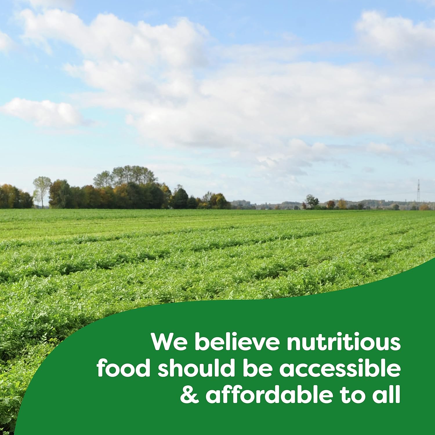 Knorr_Pasta_Side_Dish_6_Count_For_Delicious_Quick_Pasta_Side_Dishes_Alfredo_Fettuccine_No_Artificial_Flavors_or_Preservatives_4.4_oz