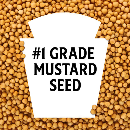 Heinz_Yellow_Mustard,_20_oz_Bottle