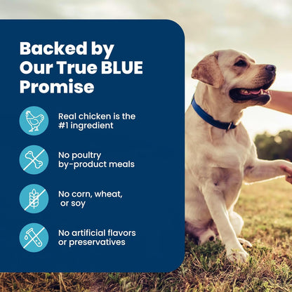 Blue_Buffalo_Life_Protection_Formula_Chicken_&_Brown_Rice_Senior_Dry_Dog_Food,_Supports_Immunity_with_Antioxidant-Rich_LifeSource_Bits,_Promotes_Healthy_Muscle_Development,_Skin_&_Coat_Health,_5_lbs.