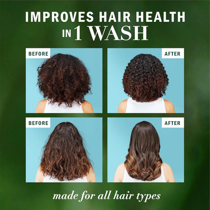 Herbal_Essences_Argan_Oil_Repair_Shampoo_&_Conditioner_Set,_Moisturizes_&_Smoothes,_Paraben-Free,_Color-Safe,_pH-Balanced,_Citrus_Scent,_20.2_Fl_Oz,_2-Pack