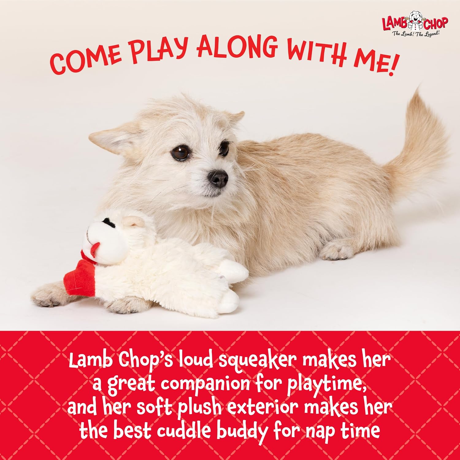 Multipet_Lamb_Chop_Dog_Plush_Toy_-_Squeaky_Toy_for_All_Dogs_-_Extra_Soft_Plush_-_Stuffed_Animal_Dog_Toy_for_Cuddling_&_Playing_-_Cute_Pet_Toy_(6",_Cream)