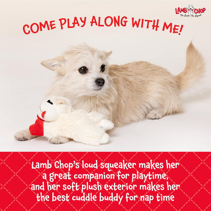 Multipet_Lamb_Chop_Dog_Plush_Toy_-_Squeaky_Toy_for_All_Dogs_-_Extra_Soft_Plush_-_Stuffed_Animal_Dog_Toy_for_Cuddling_&_Playing_-_Cute_Pet_Toy_(6",_Cream)