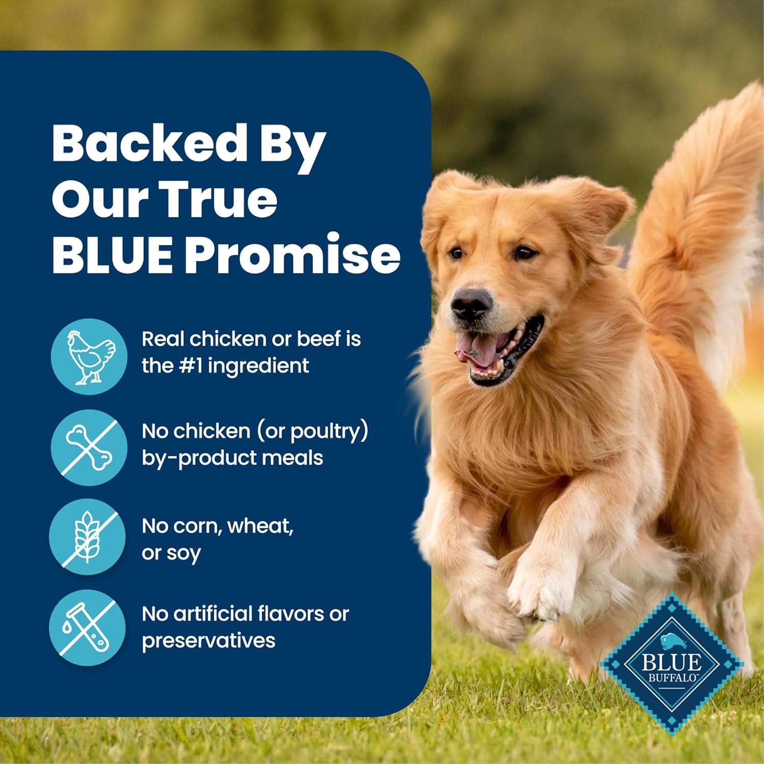 Blue_Buffalo_Blue’s_Stew_Variety_Pack_Hearty_Beef_&_Country_Chicken_Stew_Natural_Grain_Free_Wet_Dog_Food_with_Real_Meat_in_Thick_Savory_Gravy,_Natural_Ingredients,_12.5-oz_Cans_(6_Count)