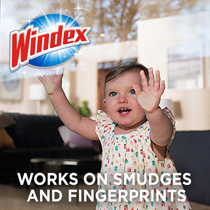 Windex_Wipes_Glass_Cleaning,_Pre-Moistened_Glass_and_Surface_Wipes_to_Clean_Home_Surfaces,_Household_Essentials,_Original_Scent,_38_Count_(Pack_of_1)