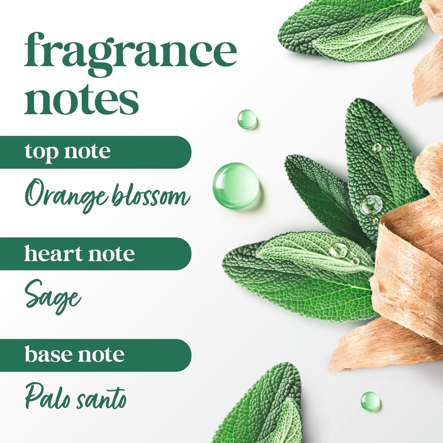 Dove_Dry_Spray_Palo_Santo_&_Sage_for_72-hour_sweat_and_odor_protection_Alcohol_Free_3.8_oz
