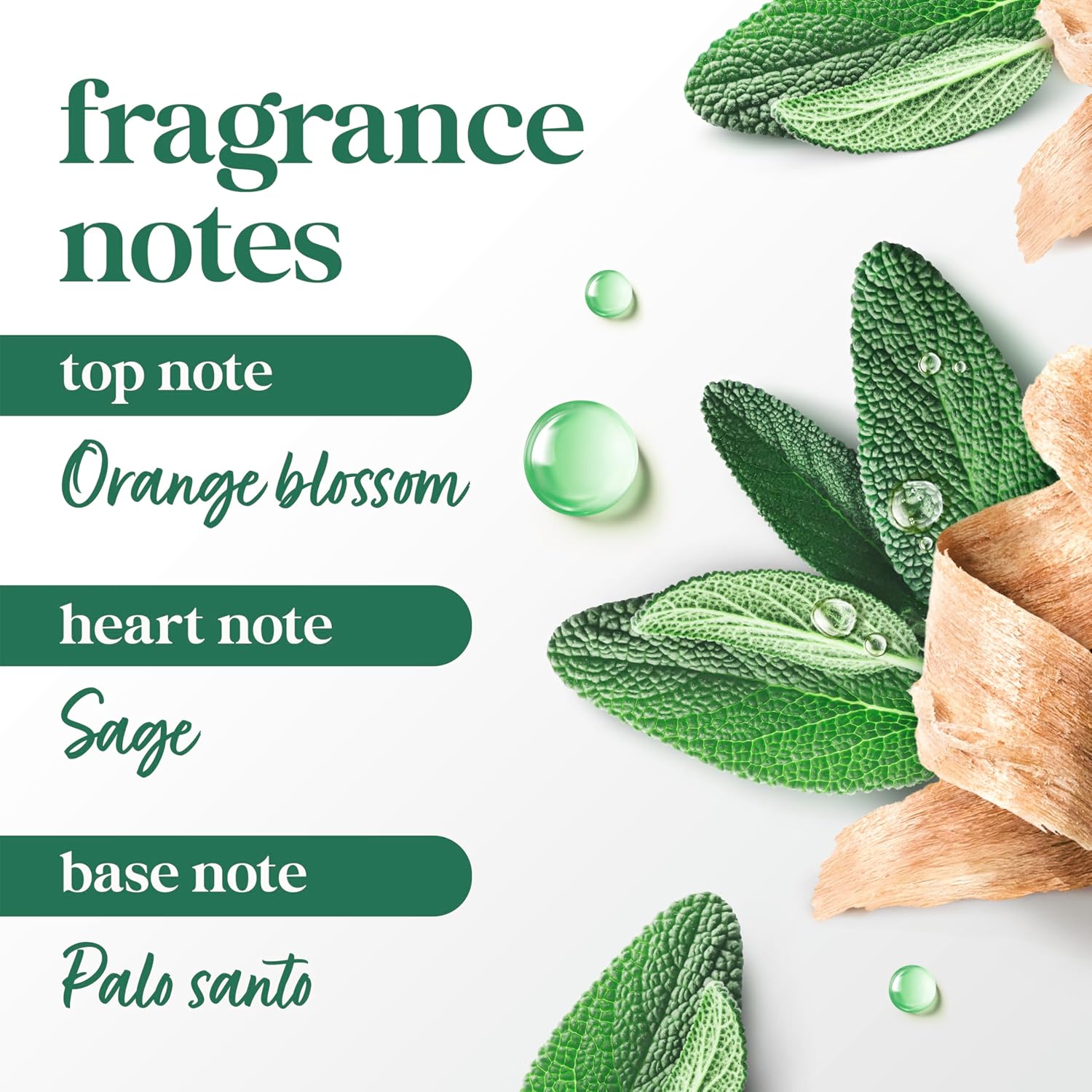 Dove_Palo_Santo_&_Sage_Antiperspirant_Stick_–_72H_Sweat_&_Odor_Protection,_Pro‑Ceramide_Technology,_Alcohol‑Free,_FIFA_Limited_Edition_Design,_2.6_oz