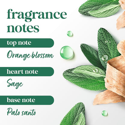 Dove_Palo_Santo_&_Sage_Antiperspirant_Stick_–_72H_Sweat_&_Odor_Protection,_Pro‑Ceramide_Technology,_Alcohol‑Free,_FIFA_Limited_Edition_Design,_2.6_oz