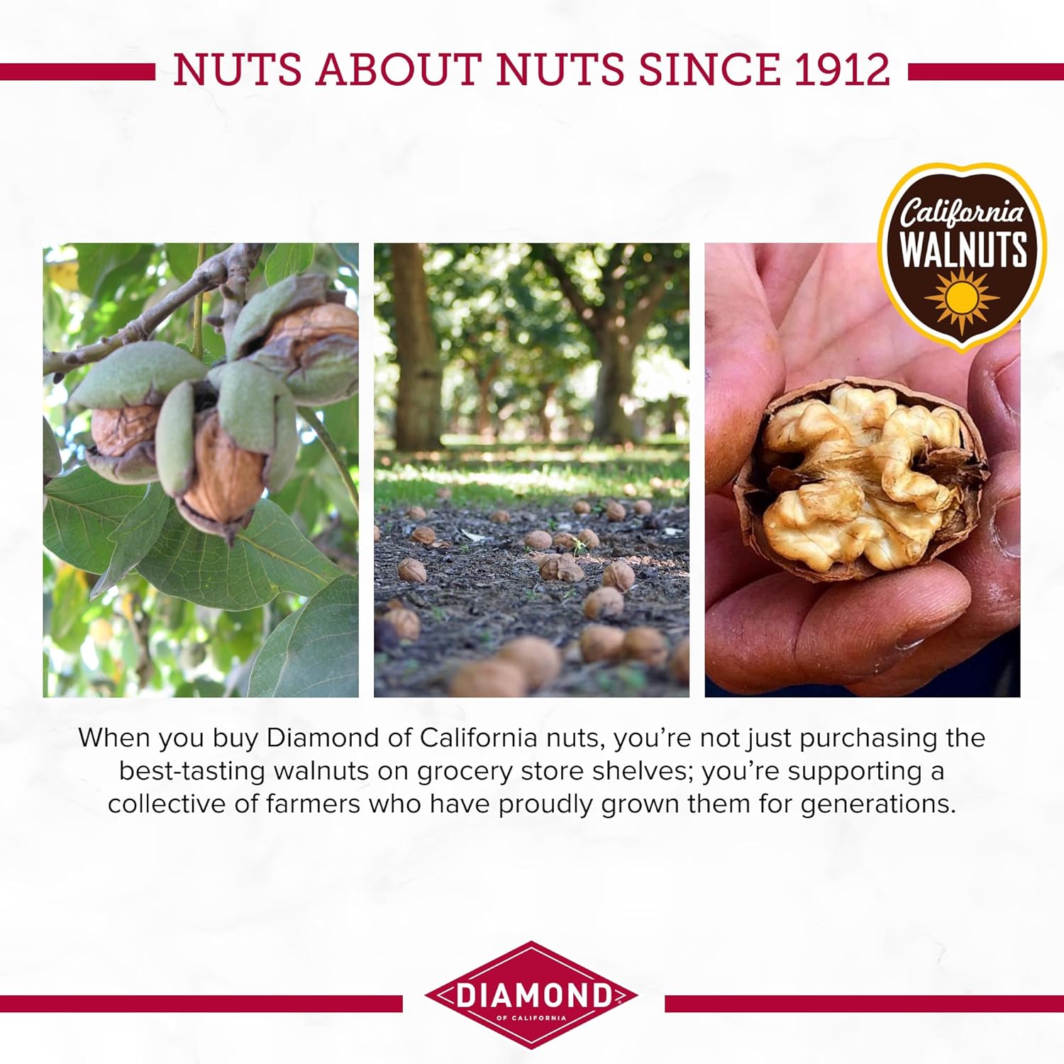 Diamond_of_California_Chopped_Walnuts,_2.25_oz,_1_Count