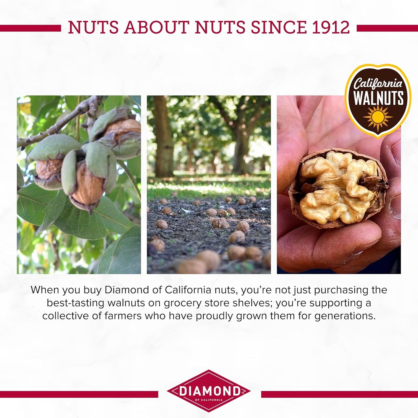 Diamond_of_California_Shelled_Walnuts_16_oz