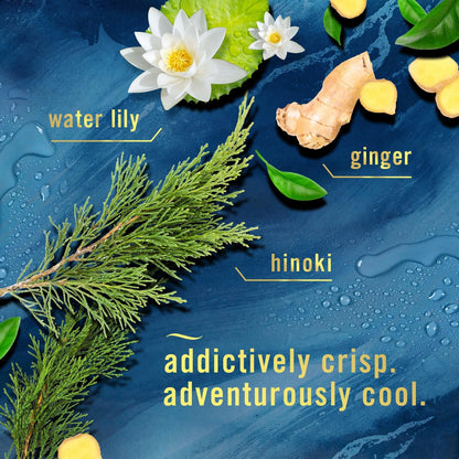 Febreze_Plug_In_Air_Freshener,_Odor-Fighting_Scented_Oil_Refill,_Air_Fresheners_for_Home_and_Bathroom_and_Kitchen,_Long_Lasting_for_Strong_Odors,_Ocean_&_Mountain_Scents,_0.87oz_Refills,_4_Count