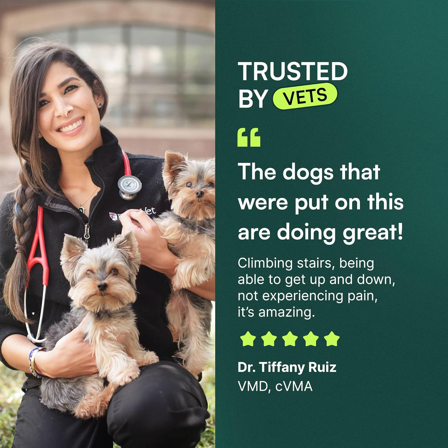 Advanced_Dog_Hip_and_Joint_Supplement_with_Glucosamine,_Chondroitin,_Omega_3,_MSM,_and_Green_Lipped_Mussel,_30_Pork_Flavored_Chews_for_Large_Dog_Breeds