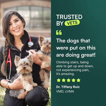Advanced_Dog_Hip_and_Joint_Supplement_with_Glucosamine,_Chondroitin,_Omega_3,_MSM,_and_Green_Lipped_Mussel,_30_Pork_Flavored_Chews_for_Large_Dog_Breeds