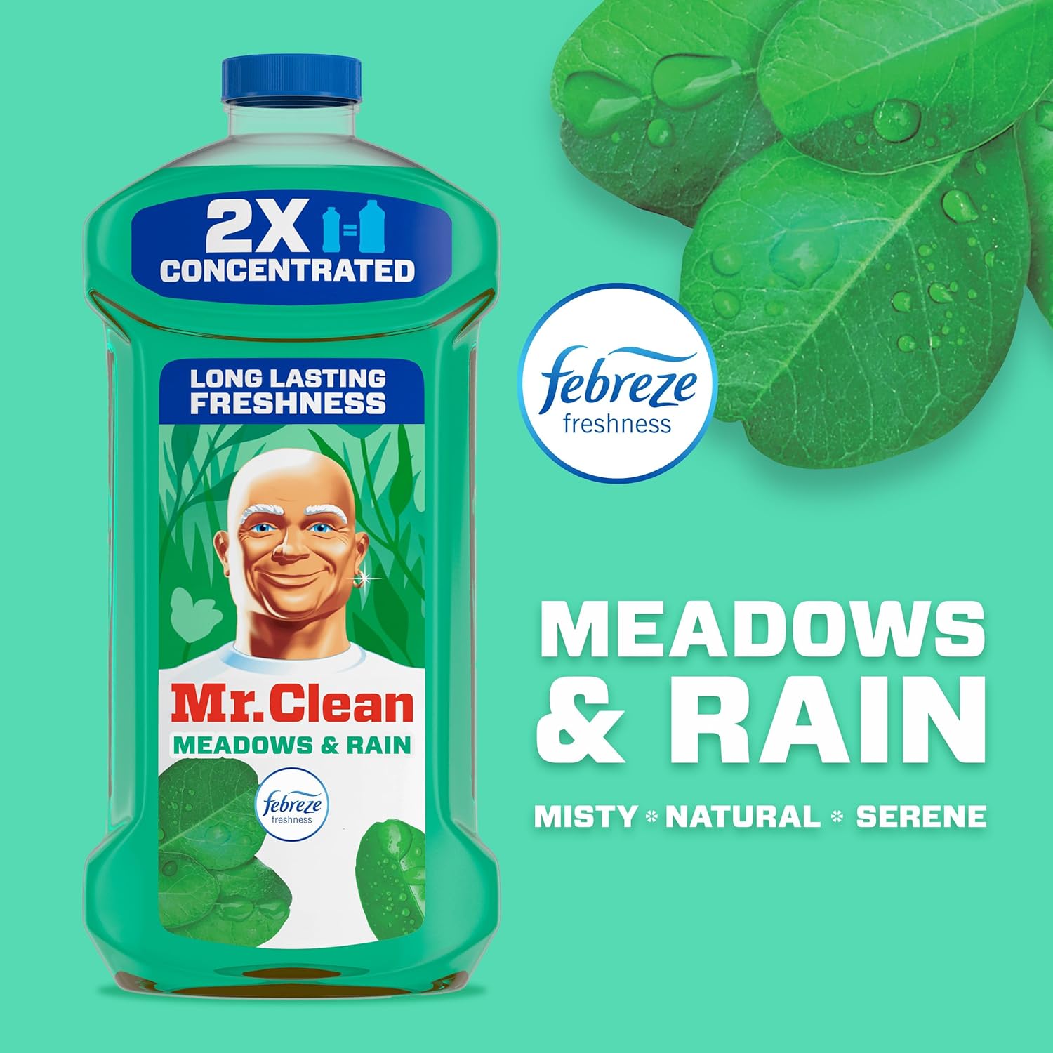 Mr._Clean_All_Purpose_Cleaner,_Floor_Cleaner_for_Mopping_Home,_Bathroom,_&_Kitchen,_Cleaning_Liquid_for_Mop_&_Bucket,_Cleaning_Supplies,_Multi-Surface_Dilutable,_Meadows_&_Rain,_41oz