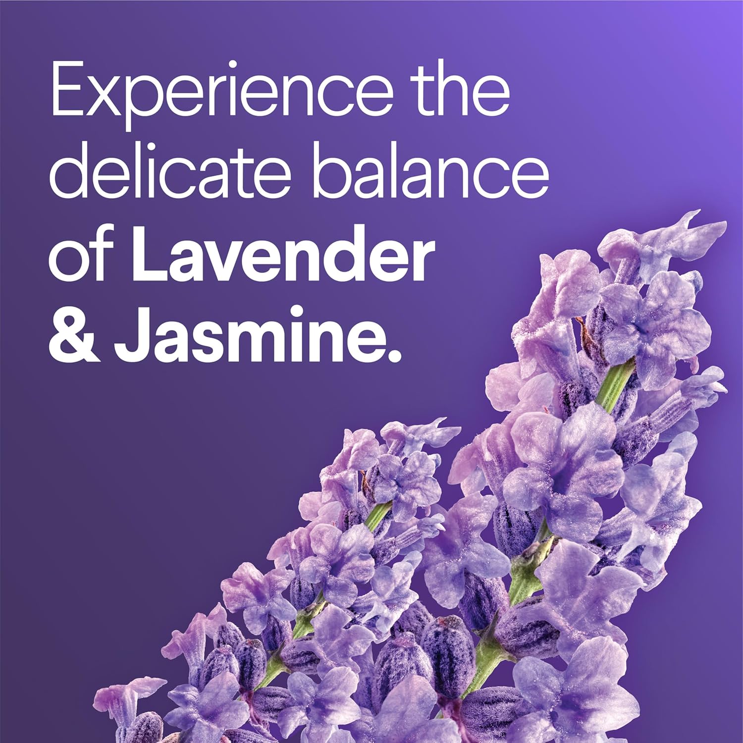 CLOROX_Scentiva_ToiletWand_Toilet_Cleaner_Refills,_Toilet_brush,_Lavender_and_Jasmine,_10_Count