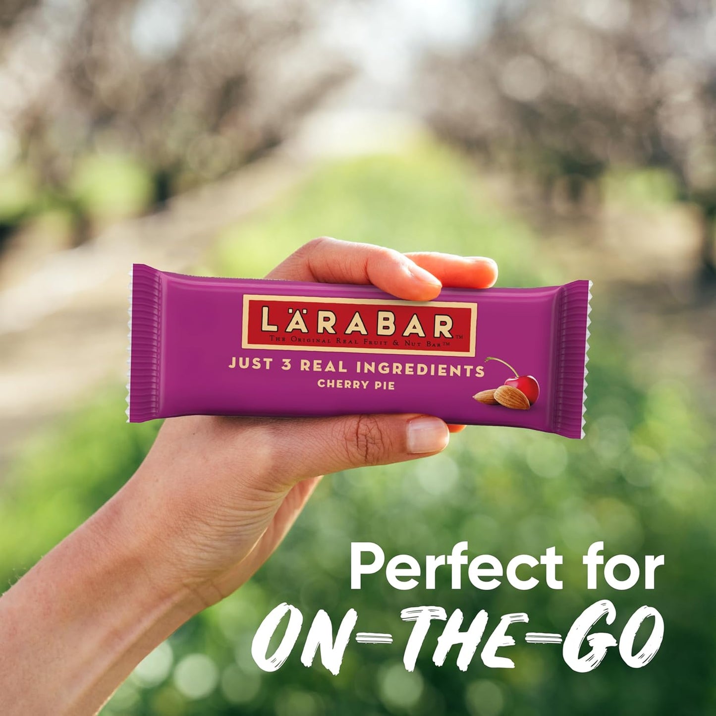 Larabar_Cherry_Pie_Fruit_and_Nut_Bar,_Gluten_Free_and_Vegan,_27.2_oz,_16_Ct