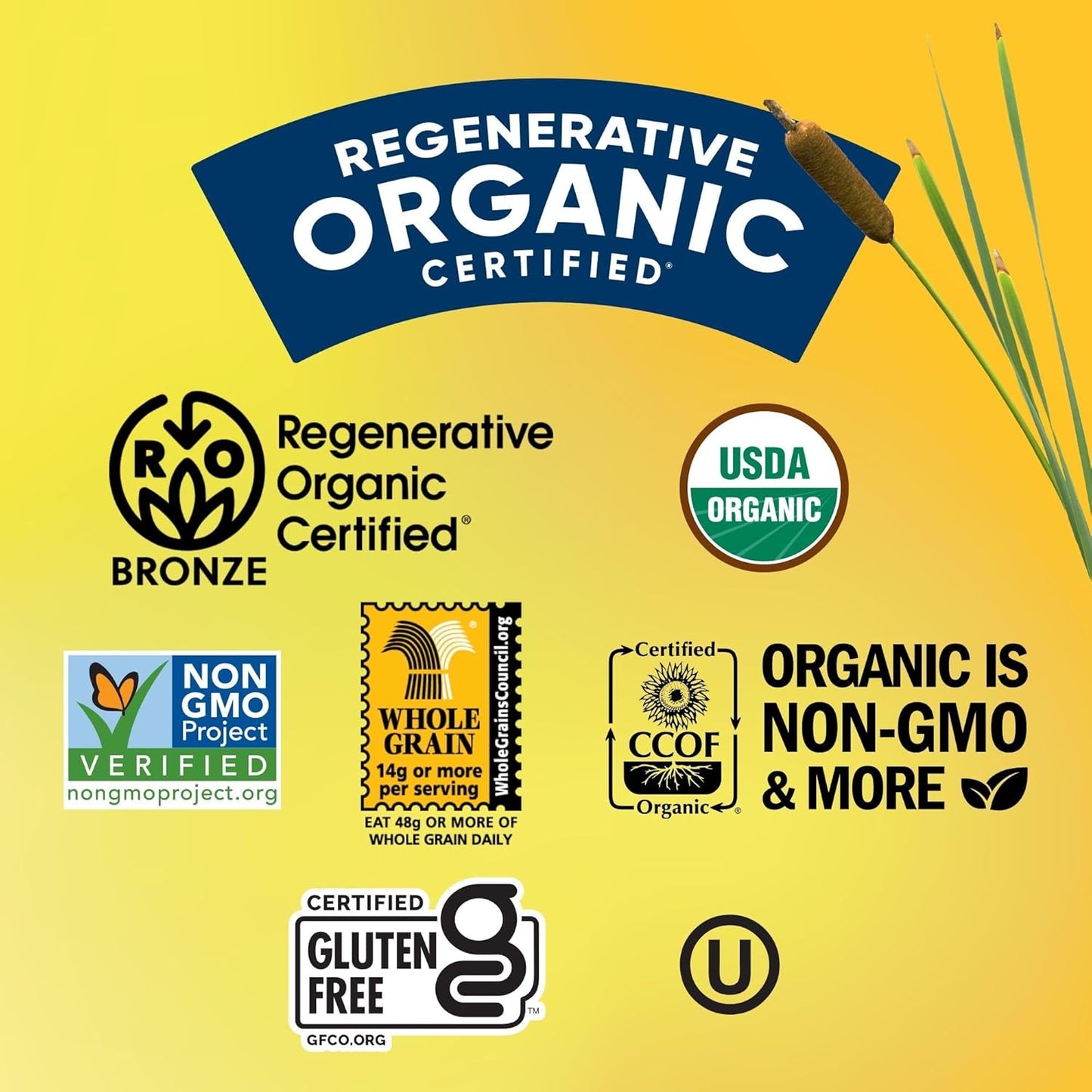 Lundberg_Organic_Thin_Stackers,_Red_Rice_&_Quinoa,_Salt-Free,_Thin_Multigrain_Rice_Cakes,_Gluten-Free,_Vegan,_Healthy_Snacks,_6_oz_(Pack_of_1)