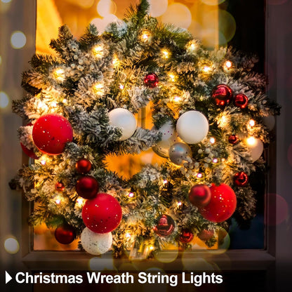 echosari_2_Pack_Battery_Operated_Christmas_Lights_Green_Wire_50_LED_Fairy_String_Light_with_Remote,_Timer,_Dimmable_for_Xmas_Tree_Wedding_Party_Decor