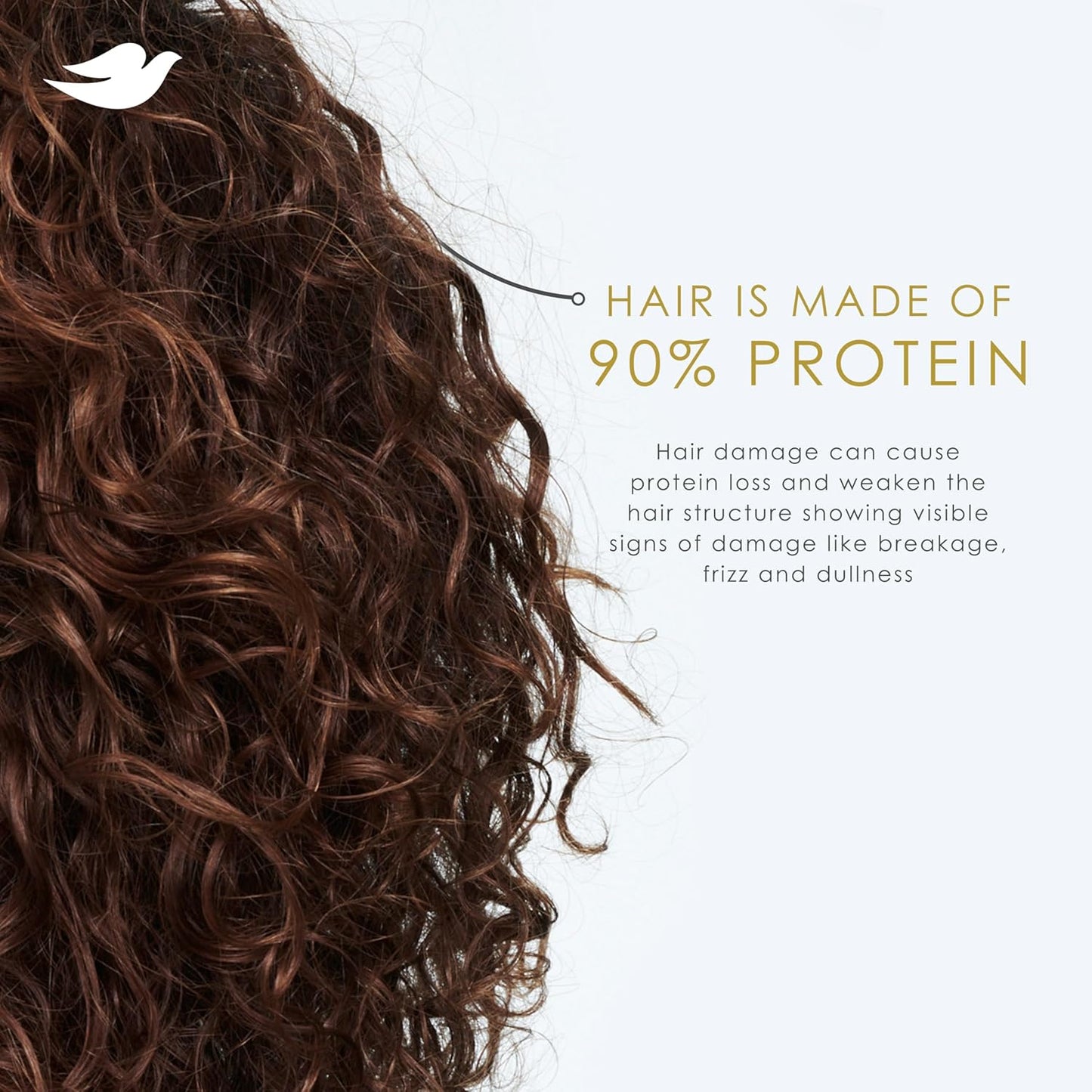 Dove_Shampoo_Coconut_&_Hydration_for_Dry_Hair_with_Bio-Protein_Care_Technology_and_Coconut_Oil_28_Fl_Oz