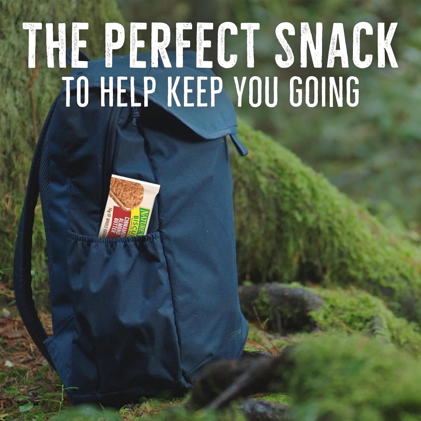 Nature_Valley_Biscuit_Sandwiches,_Cinnamon_Almond_Butter,_10_Bars,_13.5_oz_(Pack_of_6)