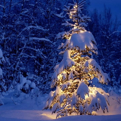 FUNPENY_Battery_Operated_Christmas_Mini_String_Lights,_1/2/4_Pack_Total_100LED_32FT_8_Modes_Waterproof_Fairy_Lights,_Christmas_Decorations_for_Indoor_Outdoor_Garden_Party_Decor