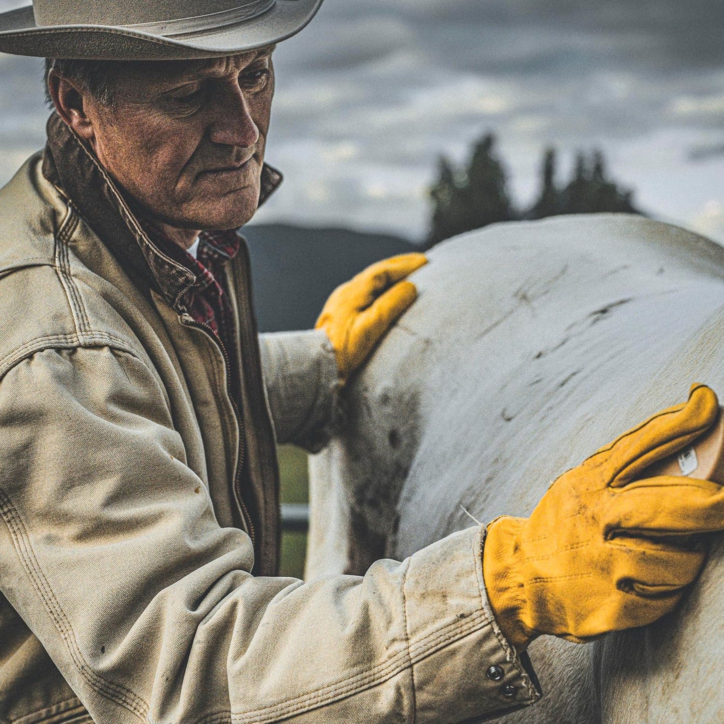 Wells_Lamont_Men's_Reinforced_Cowhide_Leather_Work_Gloves_with_Palm_Patch