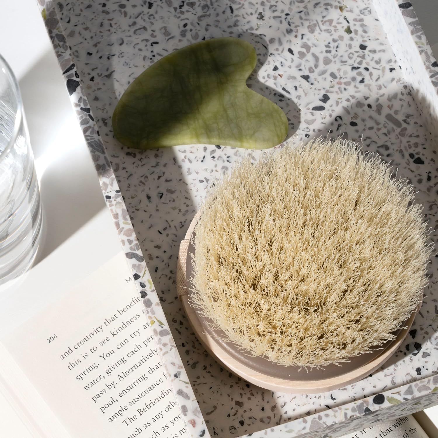 EcoTools_Dry_Body_Brush,_Cruelty-Free_Bristles_Exfoliate_&_Smooth_Skin,_Dry_Brushing_Removes_Flaky_Skin,_May_Help_Improve_Circulation_&_Tone,_Eco-Friendly_Skincare_Tool,_Vegan_&_Cruelty-Free,_1_Count
